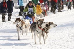 Lenk 2012 SM